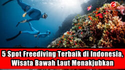 5 Spot Freediving Terbaik di Indonesia, Wisata Bawah Laut Menakjubkan