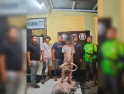 Polda Sumut Tangkap 319 Tersangka Kejahatan Bersihkan Curat dan Curas