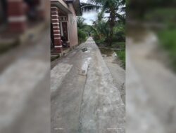 Bangun Jalan Dengan Dana Patungan, Warga Pertanyakan Fungsi Musrenbangdes