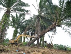 Pemko Medan Segera Bangun Infrastruktur Publik Di Lahan Seluas 26,5 Ha