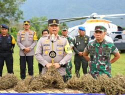 Perburuan 150 Ha Ladang Ganja oleh Polda Sumut Gunakan Teknologi Citra Satelit