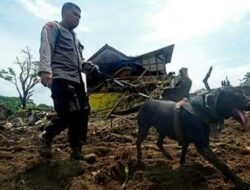 2 Korban Longsor di Humbahas Berhasil Dievakuasi, Polda Sumut: Proses Pencarian Terus Dilakukan!