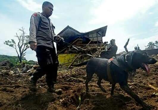 2 Korban Longsor di Humbahas Berhasil Dievakuasi, Polda Sumut: Proses Pencarian Terus Dilakukan!