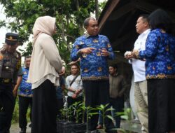 Pemkab Sergai Gelar Pasar Murah Dan Pembagian Bibit Cabai