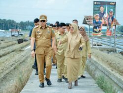 Pj Bupati Batu Bara Kunjungi Sentra Cabai Lubuk Cuik