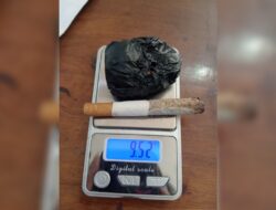 Berhasil dalam Pemberantasan Narkoba, Polsek Serbalawan Amankan Tiga Pelaku dan Sita Ganja di Simalungun