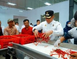 Pj Bupati Batu Bara Ungkap Sejumlah Kekurangan Rumah Pasta Cabai