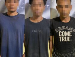 Tiga Tersangka Pencuri Lembu Ditangkap