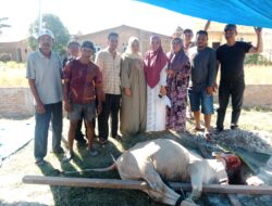 Tahun Depan Alumni SD Islam Azizi 84 Medan akan Tambah Hewan Kurban