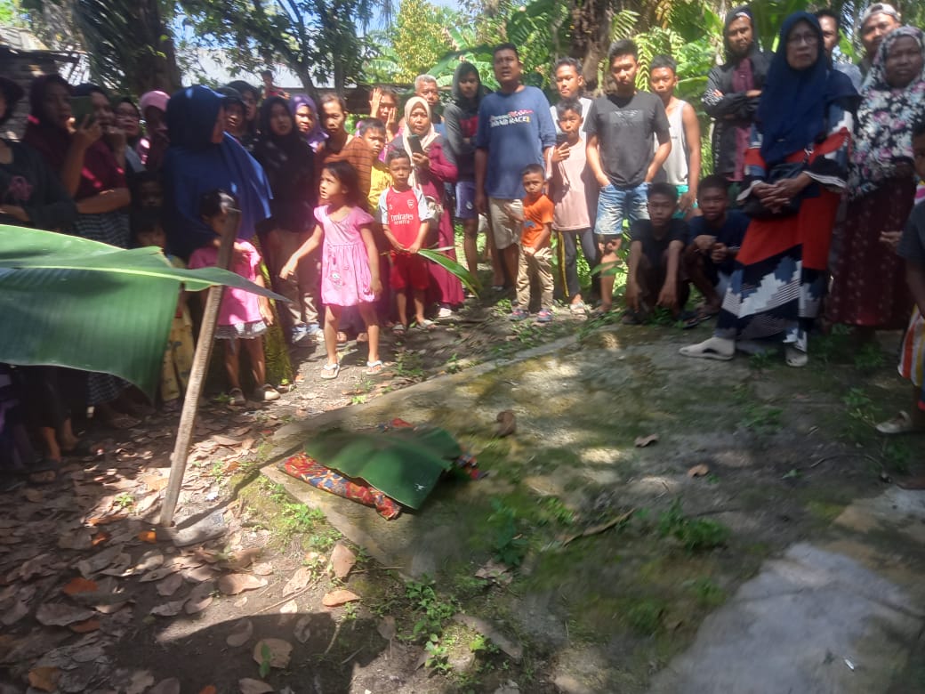 Mayat Bayi Ditemukan di Kebun Sawit