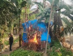 Polsek Medan Tembung dan Muspika Bersinergi, Bakar 20 Barak Narkoba dan Amankan 3 Pelakunya