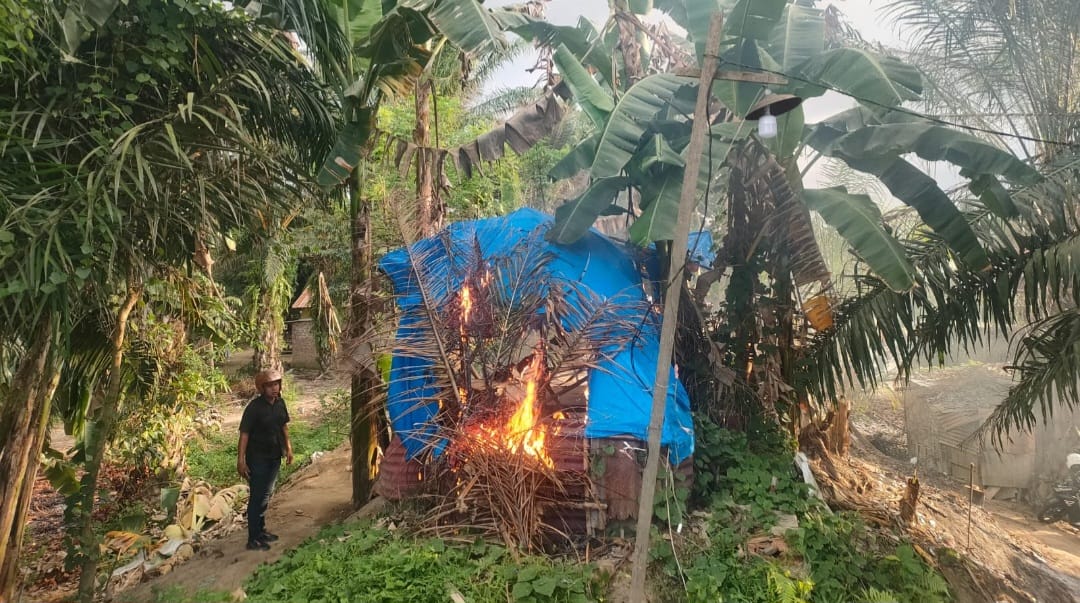 Polsek Medan Tembung dan Muspika Bersinergi, Bakar 20 Barak Narkoba dan Amankan 3 Pelakunya