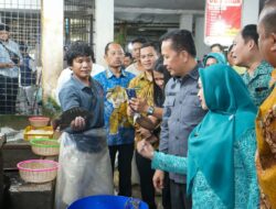 Harga Bahan Pokok di Pasar Petisah Stabil
