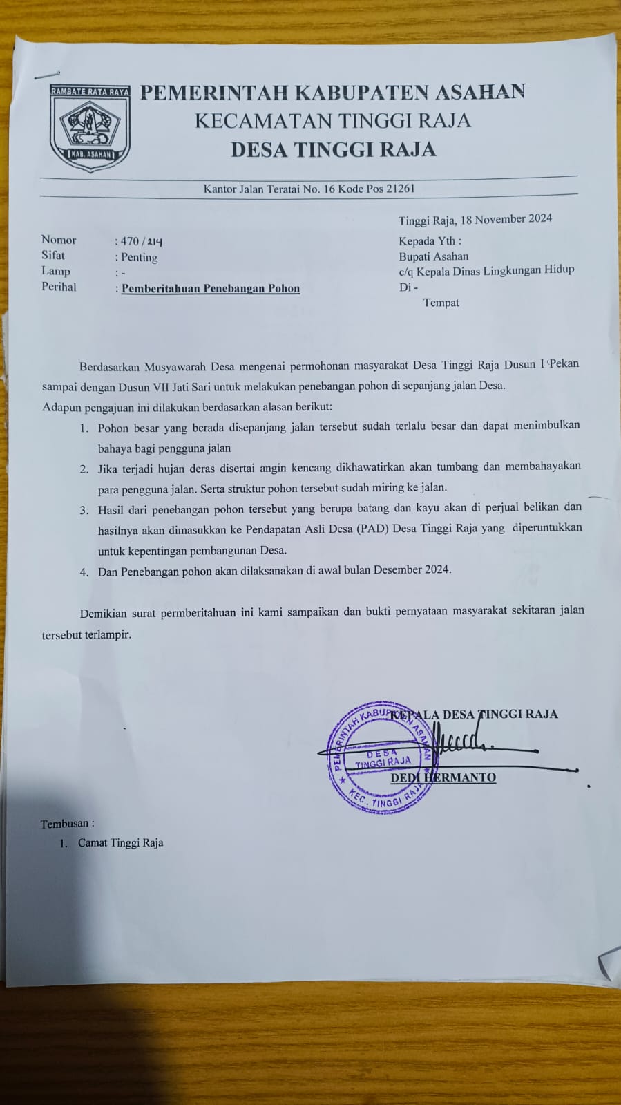 Penumbangan Pohon Mahoni di dusun 1 sampai VIII jati Sari yang dilakukan Kades Tinggi Raja diduga tidak kantongi Izin