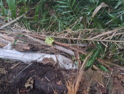 Polsek Pantai Cermin Selidiki Kasus Penemuan Mayat Pelajar 12 Tahun di Dalam Karung