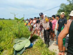 Tukang Becak Tewas Tertabrak Kereta Api di Perlintasan Tanpa Palang, Polsek Firdaus Lakukan Olah TKP