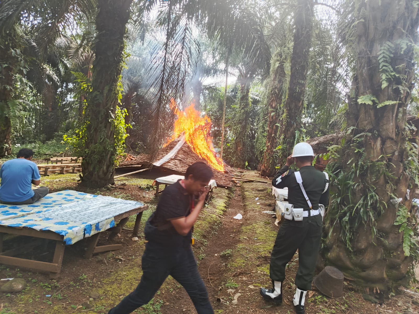 Arena Judi Sabung Ayam di Pancur Batu Digerebek, Denpom I/5 Medan Turun Tangan