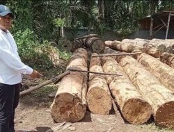 Anggota DPRD Asahan Temukan Kayu Blondongan di CV.Sultan Jaya Mandiri Tanpa Dokumen