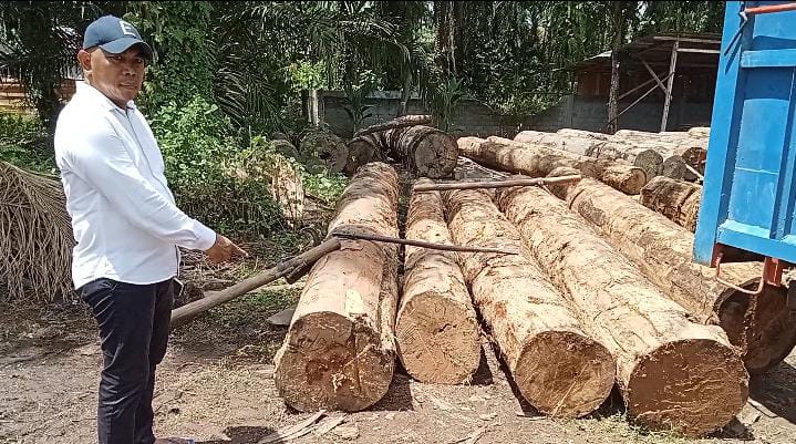 Anggota DPRD Asahan Temukan Kayu Blondongan di CV.Sultan Jaya Mandiri Tanpa Dokumen