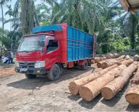 Anggota DPRD Asahan Temukan Kayu Blondongan di CV.Sultan Jaya Mandiri Tanpa Dokumen 2 Anggota DPRD Asahan Temukan Kayu Blondongan di CV.Sultan Jaya Mandiri Tanpa Dokumen