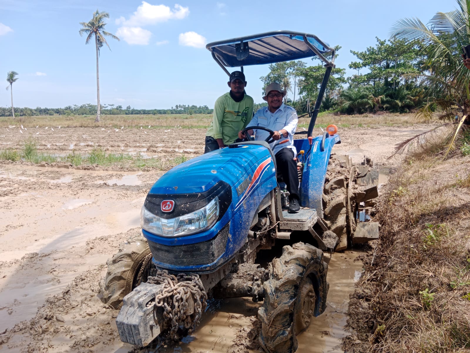 Petani Dapat Traktor, Masa Tanam Dipercepat Produksi Padi Meningkat