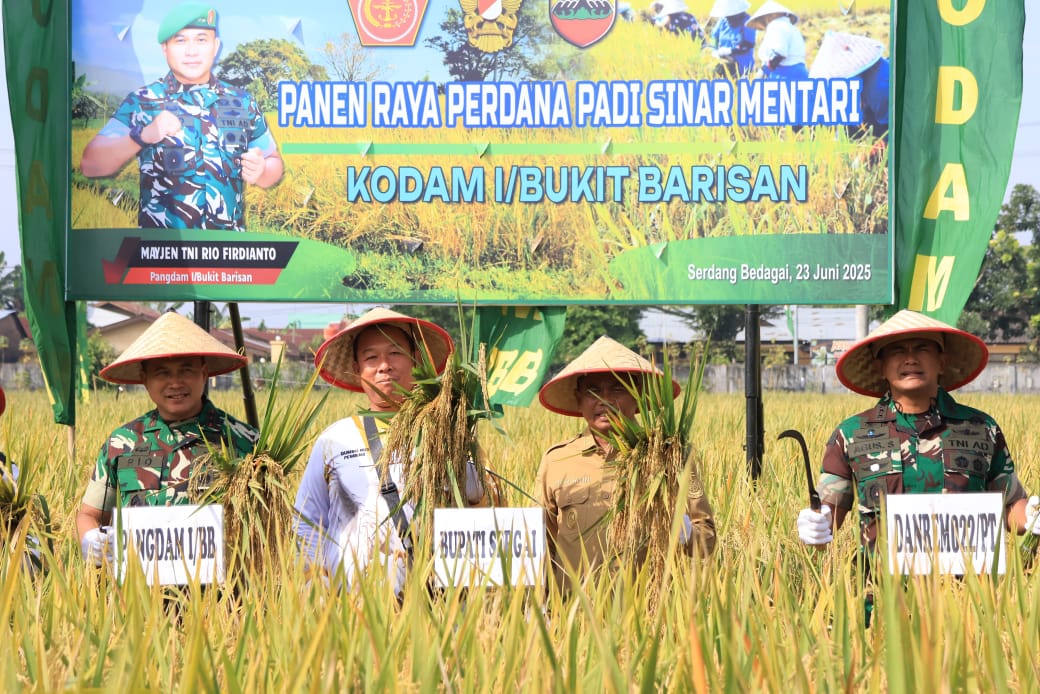 Pemkab Sergai dan Kodam I/BB Panen Raya Padi Sinar Mentari, Hasil Capai 10 Ton per Hektare