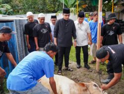 Saksikan Pemotongan Hewan Kurban, Rico Waas Harapkan Berkurban dapat Bersihkan Hati dari Sifat Buruk