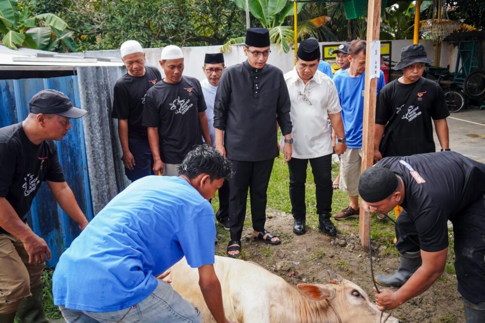 Saksikan Pemotongan Hewan Kurban, Rico Waas Harapkan Berkurban dapat Bersihkan Hati dari Sifat Buruk