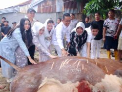 Wakil Walikota Medan Serahkan 4 Hewan Kurban