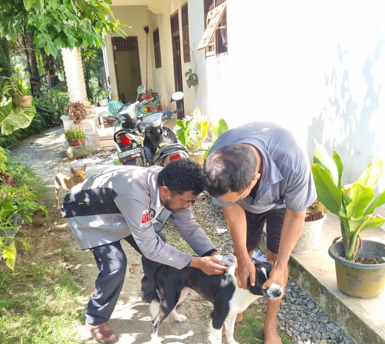 Cegah Wabah, Sergai Vaksinasi Hewan