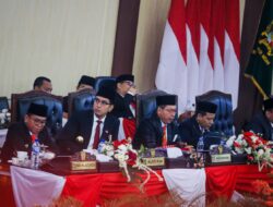 HUT Kemerdekaab RI Ke 80, Rico Waas dan Zakiyuddin Harahap Hadiri Rapat Paripurna Dengarkan Pidato Kenegaraan Presiden Prabowo Subianto