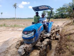 Oplah dan Brigade Pangan Dongkrak Produksi Beras, Sergai Jadi Lumbung Pangan Sumut