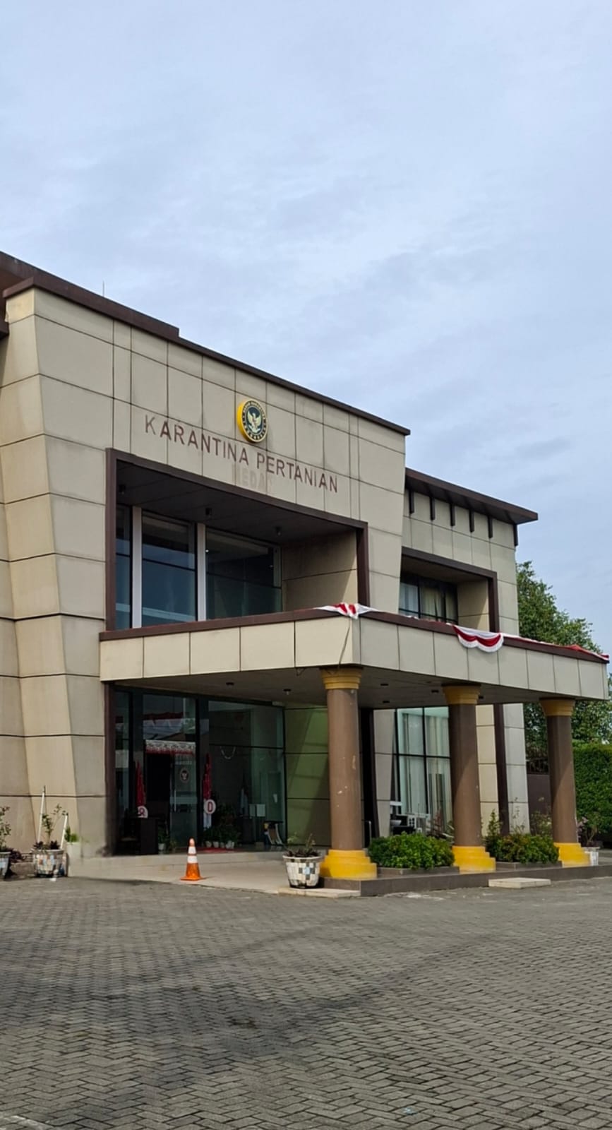 Pelayanan Karantina Domestik Pengiriman Ayam Ditutup, Peternak Menjerit