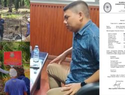 Dugaan TBS Sawit Ratusan Hektar di Suaka Margasatwa KG-LTL Langkat Sitaan Negara Terus Dipanen, Kejari Langkat Ngaku Baru Tahu