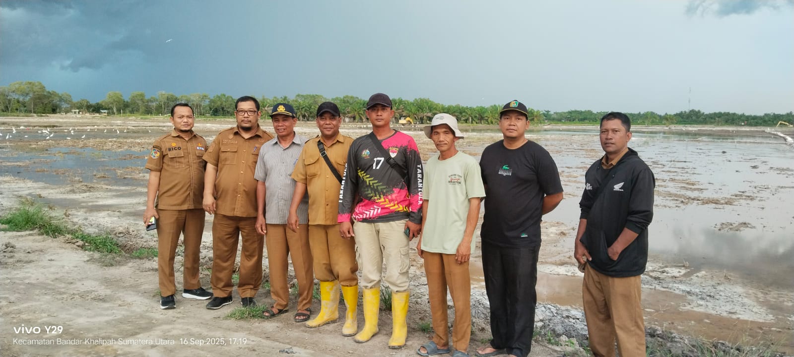 Sergai Cetak Sawah Mandiri Capai 980 Hektare, Produksi Beras Terus Surplus