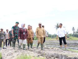 Sergai Gelar Gerakan Olah Lahan Serentak, Bupati Darma Optimis Produksi Padi Meningkat