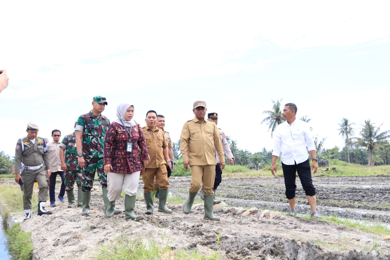 Sergai Gelar Gerakan Olah Lahan Serentak, Bupati Darma Optimis Produksi Padi Meningkat