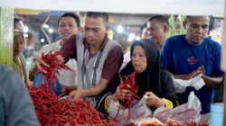 Harga Cabai Turun Hingga Rp35 Ribu/Kg, Tandai Pasokan di Sumut Terkendali 4 Harga Cabai Turun Hingga Rp35 Ribu/Kg, Tandai Pasokan di Sumut Terkendali