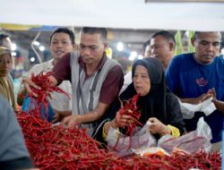 Harga Cabai Turun Hingga Rp35 Ribu/Kg, Tandai Pasokan di Sumut Terkendali