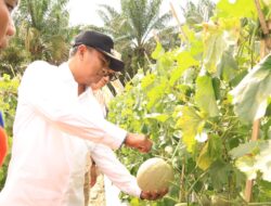 Bupati Sergai Dorong Pelaku Usaha Manfaatkan Peluang dari Program Makan Bergizi Gratis