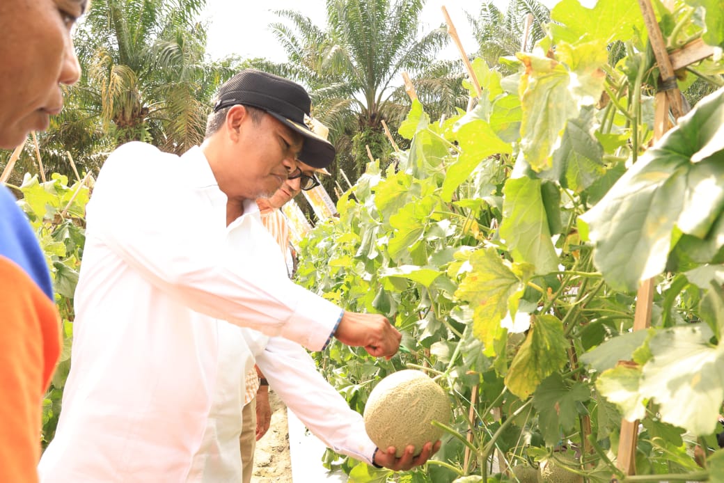 Bupati Sergai Dorong Pelaku Usaha Manfaatkan Peluang dari Program Makan Bergizi Gratis