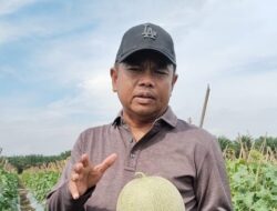 Program Makan Bergizi Gratis Dongkrak Pendapatan Petani di Serdang Bedagai
