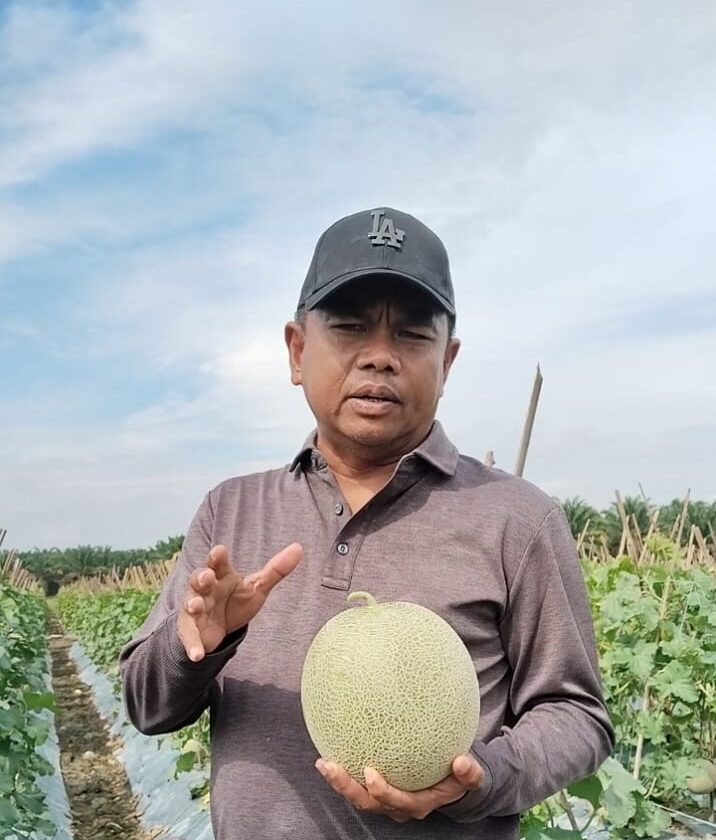 Program Makan Bergizi Gratis Dongkrak Pendapatan Petani di Serdang Bedagai