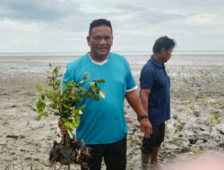 Pemdes Bagan Kuala dan Mahasiswa UMSU Tanam 1.000 Pohon Mangrove untuk Tangkal Abrasi
