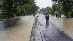 Camat Medan Labuhan dan Lurah Martubung Tak Peduli Korban Terdampak Banjir 3 Camat Medan Labuhan dan Lurah Martubung Tak Peduli Korban Terdampak Banjir