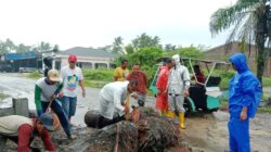 Cuaca Ekstrem, Tumbangkan Pohon Besar Jalan Lintas Tanjung Beringin 7 Cuaca Ekstrem, Tumbangkan Pohon Besar Jalan Lintas Tanjung Beringin