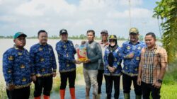 13 Ribu Hektare Sawah di Sergai Terendam Banjir, Pemkab Salurkan Bantuan Bibit untuk Petani 3 13 Ribu Hektare Sawah di Sergai Terendam Banjir, Pemkab Salurkan Bantuan Bibit untuk Petani