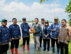 13 Ribu Hektare Sawah di Sergai Terendam Banjir, Pemkab Salurkan Bantuan Bibit untuk Petani