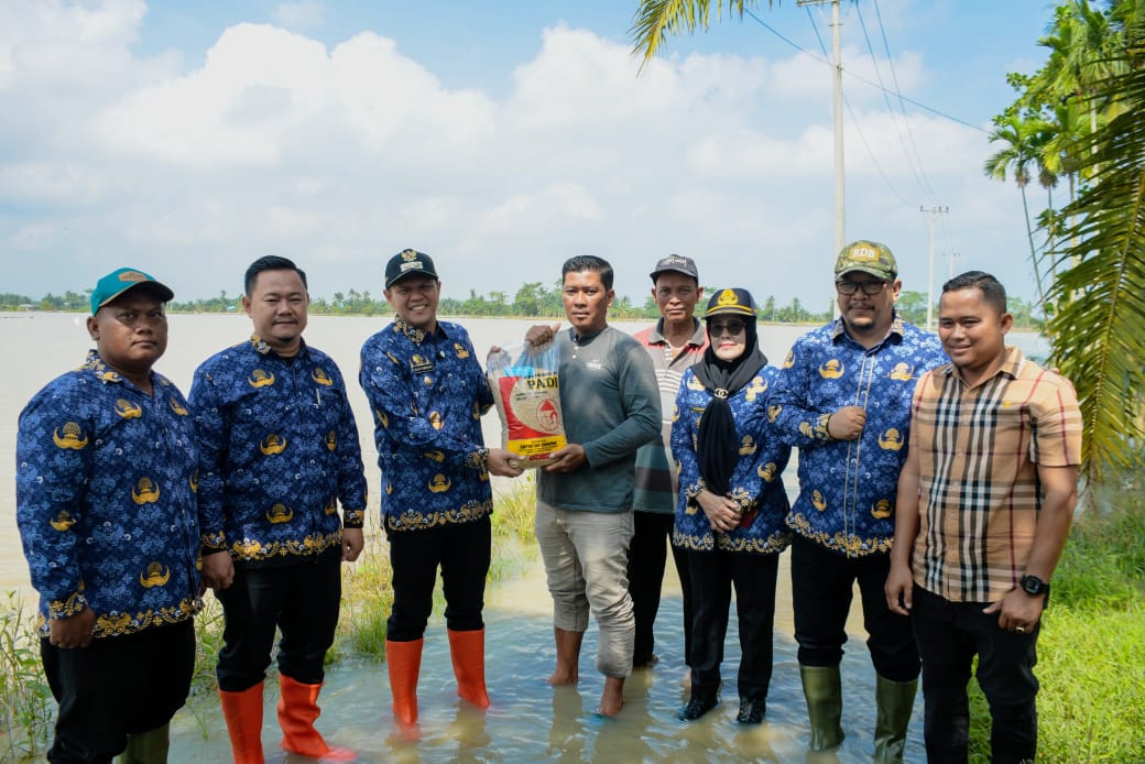 13 Ribu Hektare Sawah di Sergai Terendam Banjir, Pemkab Salurkan Bantuan Bibit untuk Petani