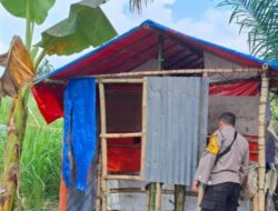 Polsek Sunggal Bakar Barak dan Gubuk Narkoba Di Sei Semayang DS